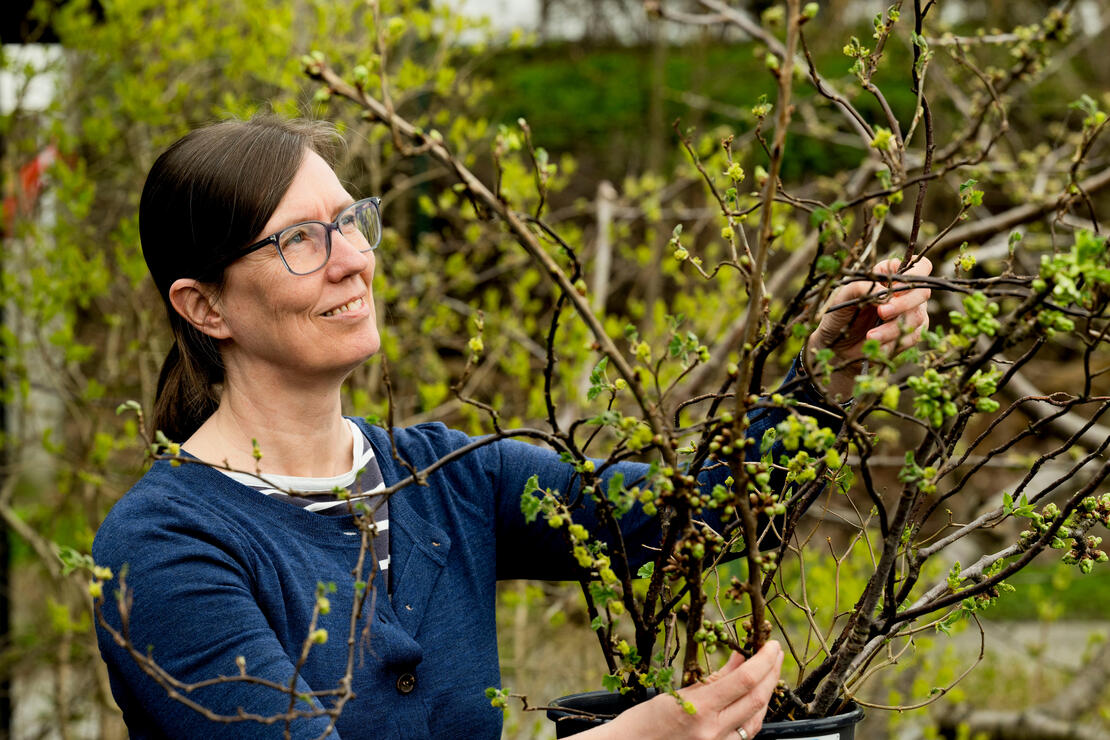 Kvinne i naturen